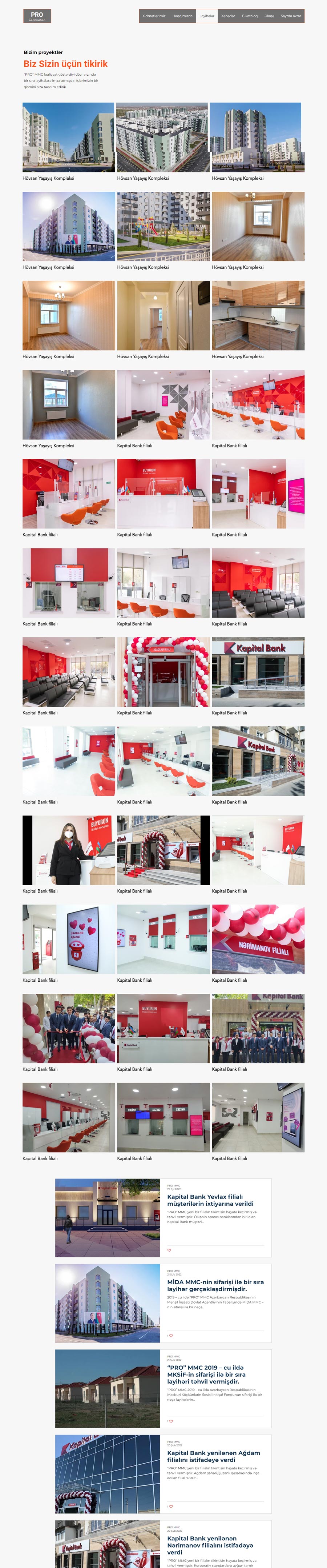 Website for "PRO" LLC