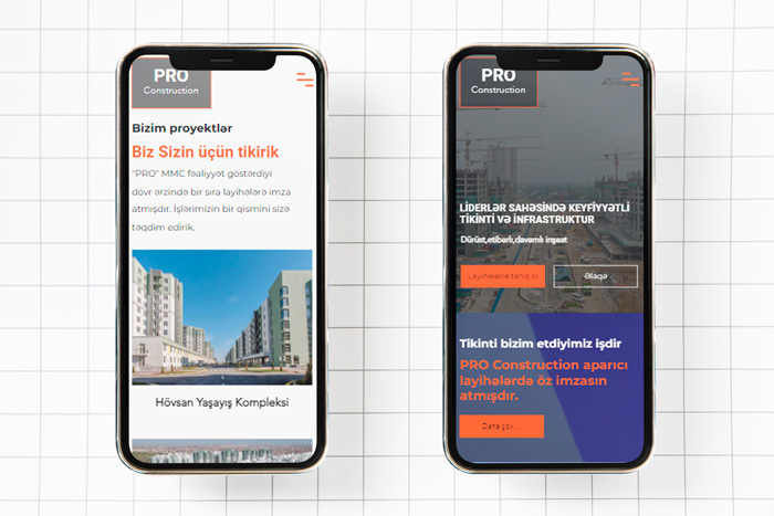 Website for "PRO" LLC